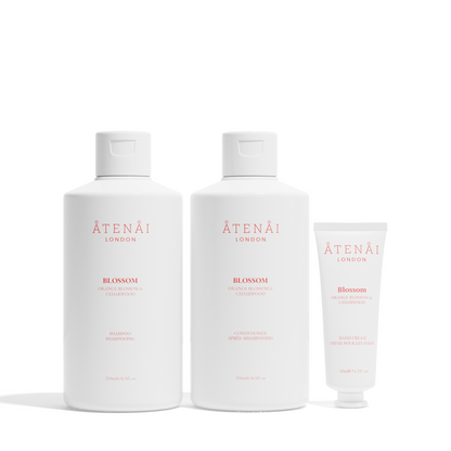 Atenai London Blossom Hair Duo Set-0